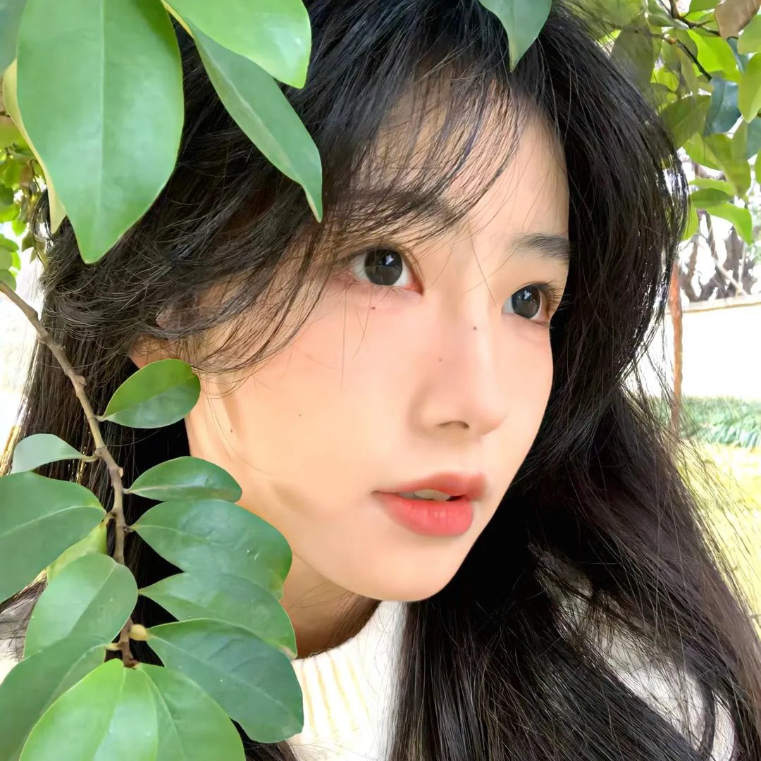 归来之非凡人生