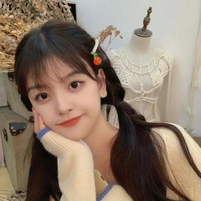 卧底费瑞的故事